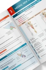 ⁦Anatomy of the Lower Limb - iMed Book 2025⁩ - الصورة ⁦3⁩