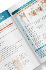 ⁦Anatomy of the Lower Limb - iMed Book 2025⁩ - الصورة ⁦4⁩