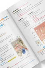 ⁦ENT (ear, nose, and throat) - iMed Book 2025⁩ - الصورة ⁦6⁩