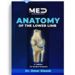 Anatomy of the Lower Limb - iMed Book 2025