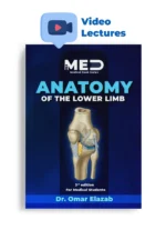 Anatomy of the Lower Limb - iMed Book 2025