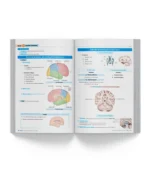 ⁦Introduction and Overview of Anatomy - iMed Book 2026⁩ - الصورة ⁦4⁩